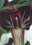 Georgia OKeeffe Jack-in-the-Pulpit n ° I reproduction de tableau