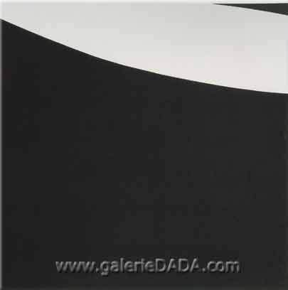 Ellsworth Kelly,  White Black Fine Art Reproduction Oil Painting