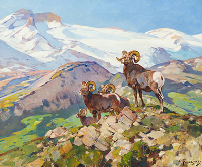 Carl Rungius, Rams on the Alert Fine Art Reproduction Oil Painting