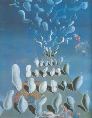 Salvador Dali, Inaugural Goose Flesh Fine Art Reproduction Oil Painting