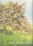 Carlos Shwabe, Pommier Fleuri Fine Art Reproduction Oil Painting