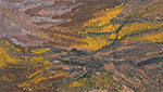 Gemälde Reproduktion von Emily Kame Kngwarreye Alhakere-mein Land