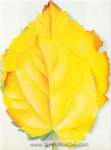 Gemaelde Reproduktion von Georgia OKeeffe Gelbe Blätter