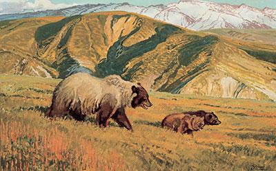 Robert Lougheed País Grizzly, Alaskan Toklat Grizzly reproduccione de cuadro
