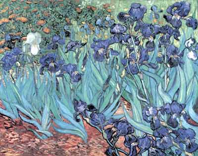 Vincent Van Gogh Irises reproduction-de-tableau