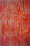 Emily Kame Kngwarreye Pays Yam reproduction de tableau