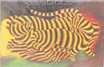 Victor Vasarely Les tigres reproduction de tableau