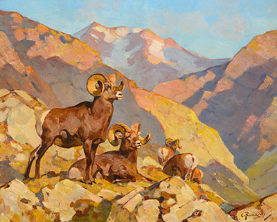 Carl Rungius, Happy Valley Rams Fine Art Reproduction Oil Painting