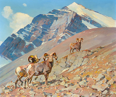 Carl Rungius, Rams on the Alert Fine Art Reproduction Oil Painting