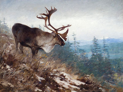 Carl Rungius, Yukon King Caribou Fine Art Reproduction Oil Painting