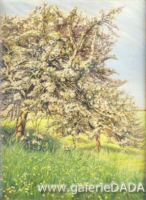 Carlos Schwabe, Pommier Fleuri Fine Art Reproduction Oil Painting