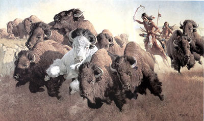 The Pursuit of the White Buffalo