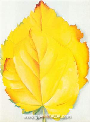 Yellow Leaves