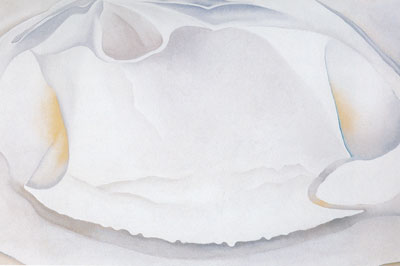 Georgia OKeeffe, Clam Shell Fine Art Reproduction Oil Painting