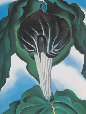 Georgia Okeeffe, Jack-in-the-Pulpit No.3 Fine Art Reproduction Oil Painting
