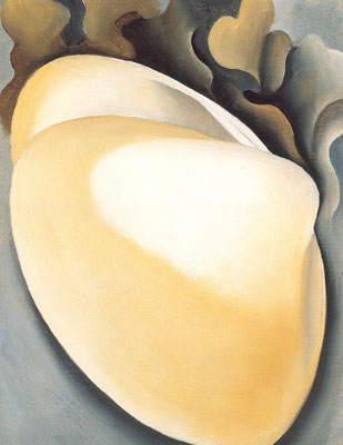Georgia OKeeffe, Tan Clam Shell with Seaweed Fine Art Reproduction Oil Painting