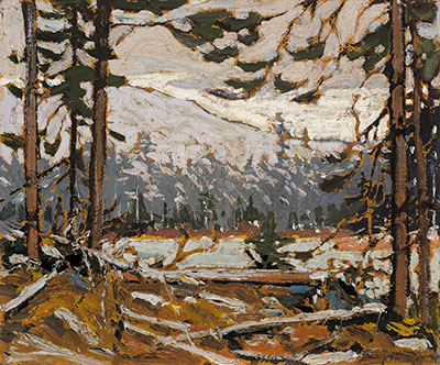 Tom Thomson, Woodland Interior, Algonquin Park Fine Art Reproduction Oil Painting