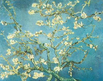 Branches of an Almond Tree in Blossom