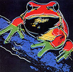 Andy Warhol, Pine Barrens Tree Frog Fine Art Reproduction Oil Painting