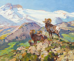 Carl Rungius, Big Horns Fine Art Reproduction Oil Painting