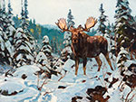 Carl Rungius, Bull Moose Fine Art Reproduction Oil Painting