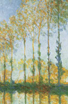 Claude Monet, Poplars, White and Yellow Effect Fine Art Reproduction Oil Painting