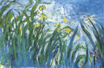 Claude Monet, The Irises Fine Art Reproduction Oil Painting