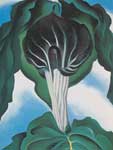 Georgia Okeeffe, Jack-in-the-Pulpit No.3 Fine Art Reproduction Oil Painting