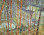 Peter Doig, The Architect's Home in the Ravine Fine Art Reproduction Oil Painting