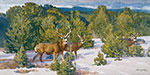 Robert Lougheed, Deer on the Edge of March Fine Art Reproduction Oil Painting
