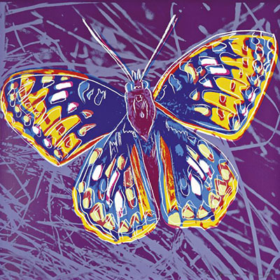 riproduzione-quadri-di Andy Warhol San Francisco Silverspot Butterfly