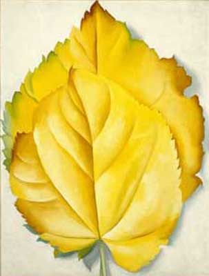 riproduzione-quadri-di Georgia OKeeffe Due foglie gialle