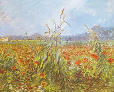 riproduzione-quadri-di Vincent Van Gogh Steli di mais verde