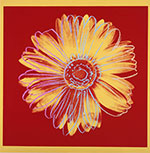 Riproduzione quadri di Andy Warhol Daisy