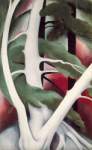 Riproduzione quadri di Georgia OKeeffe Albero di betulla e pino No.2