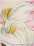 Riproduzione quadri di Georgia OKeeffe Calla Lilies in rosa