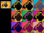 Warhol style portraits