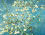 Vincent Van Gogh Ramas de un árbol de almendras en Blossom reproduccione de cuadro