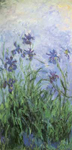Riproduzione quadri di Claude Monet Irises